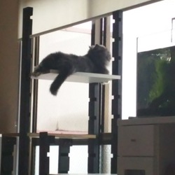 「自作タワー」サムネイル2