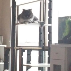 「自作タワー」サムネイル3