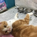 生後6ヶ月のきなこちゃん