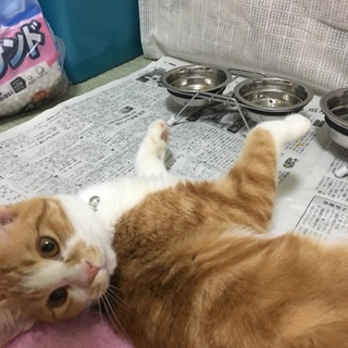 生後6ヶ月のきなこちゃん