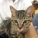 さみしがり屋さん