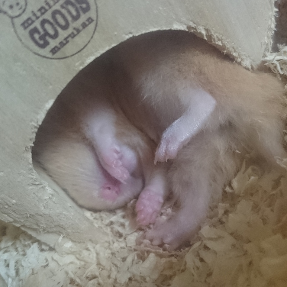 故:美生[みお]のカバー写真