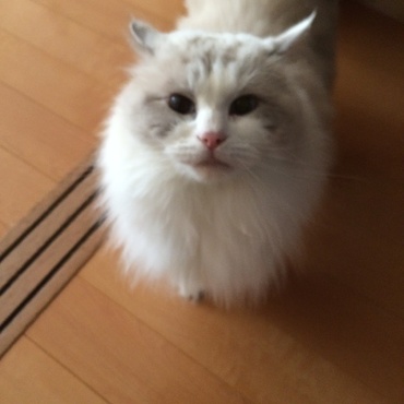 カメラ目線で可愛いです。