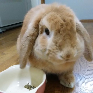 ありがとうございます！