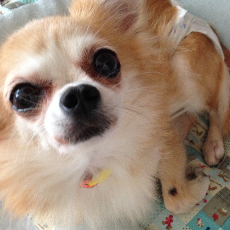 みるのカバー写真