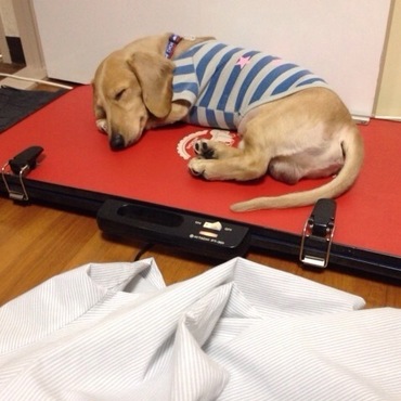 究極の寒がりさん(￣▽￣)