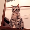 の写真