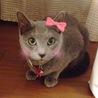 の写真