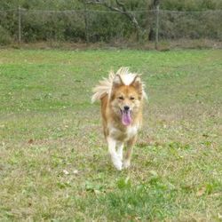 あなたは想像できますか？