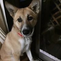 そっちゃん