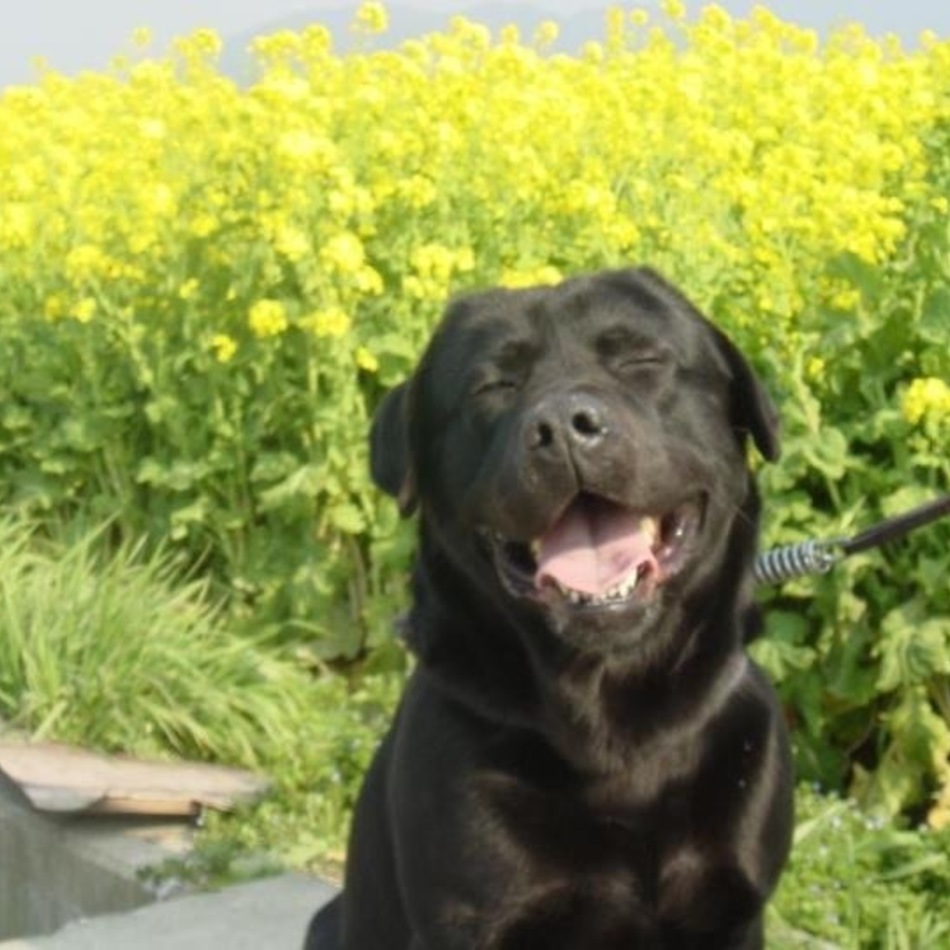 ベルのカバー写真