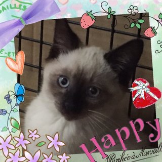 ご応募多数頂き一時受付を中断いたします