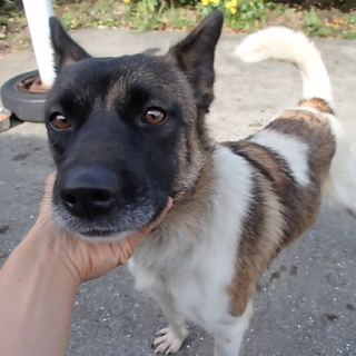 これでも女の子なんです！！家族募集。