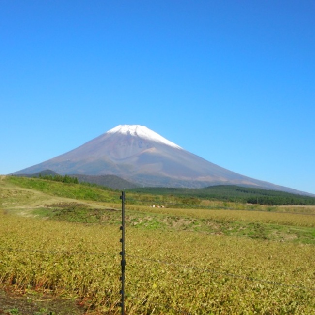 ポーリーままのカバー写真