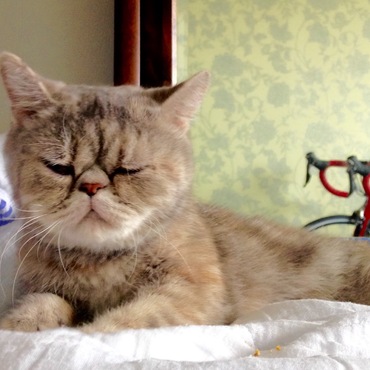 超絶に甘えてる時の顔(*^^*)