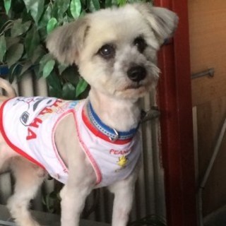 決まりました！