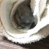 ゆっくり、水平に慣れるようリハビリ中です。