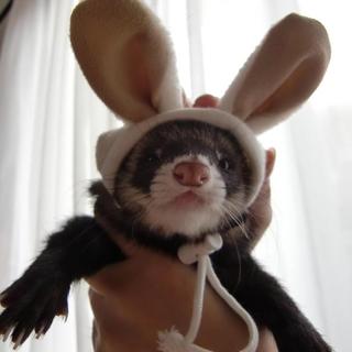 可愛がってくれる方