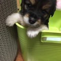 ありがとうございました。