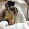 もぐもぐ