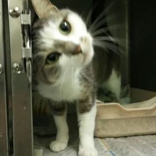 有難うございました。優しい家族が出来ました！