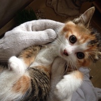 里親見つかりました！