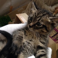 里親見つかりました！