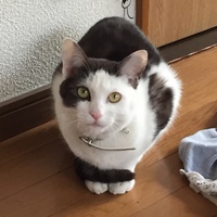 おじさん