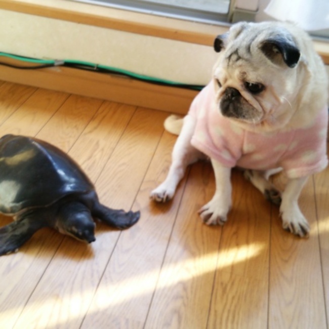 なな大好きsanのカバー写真