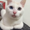 の写真
