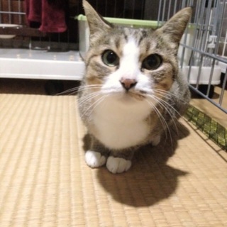 人が好きすぎる女の子です☆