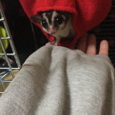 の写真