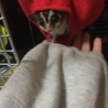 の写真