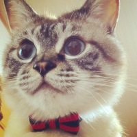 マーブル(マブ)