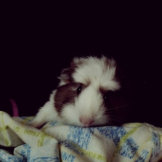 良いご縁がございました^ ^