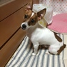 陽向☆