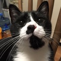 甘えん坊な好青年！おこめ王子