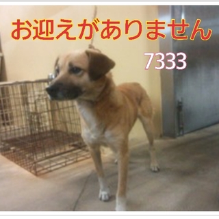 命の期限が近いと思われます