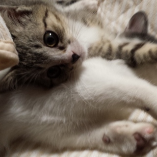 ありがとうございました