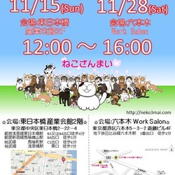 六本木でねこざんまい譲渡会！11月28日(土)12時スタート！