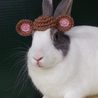 保護うさぎ：みおちゃん サムネイル3
