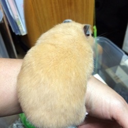 「寝る子は育つ」サムネイル2