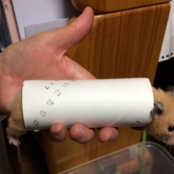 「寝る子は育つ」サムネイル3