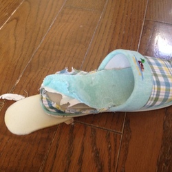 「セナの問題行動」サムネイル1