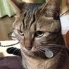 クミンの視線の先はセナ！