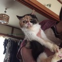 照れ屋さんフジコちゃん