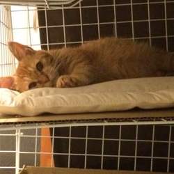 人間不信になりそう…