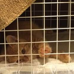 「人間不信になりそう…」サムネイル2