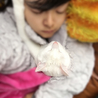 の写真