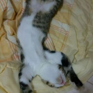 片目だけど元気に生きる男の子♪